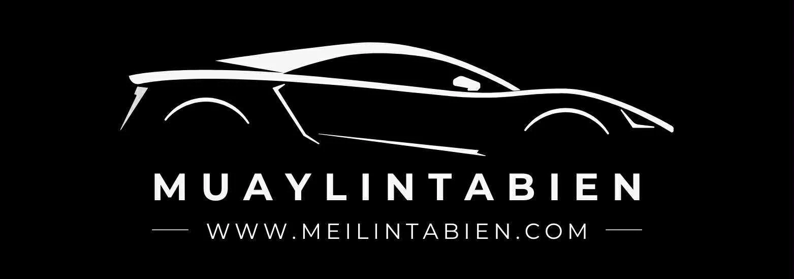 MEILINTABIEN Logo